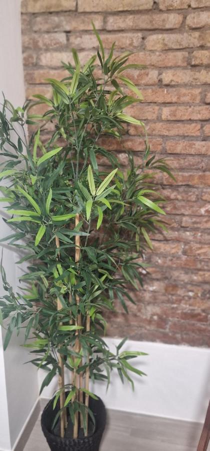 Appartement Barcelona,Apartamento Con Terraza à L'Hospitalet de Llobregat Extérieur photo